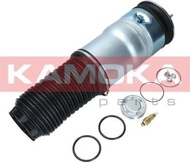 Air Spring, suspension 2079020