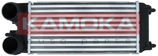 Charge Air Cooler 7750051