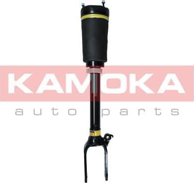 Air Suspension Strut 2070016