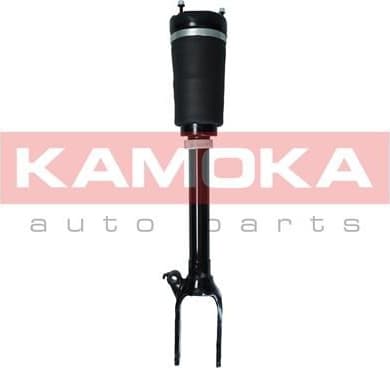 Air Suspension Strut 2070016 - image 2