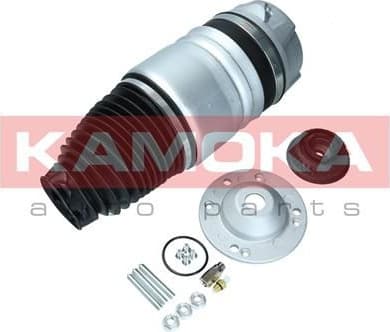 Air Spring, suspension 2079011