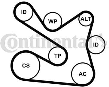 V-ribbed Belt Set 7PK1605K1