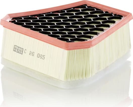 Air Filter C 26 065