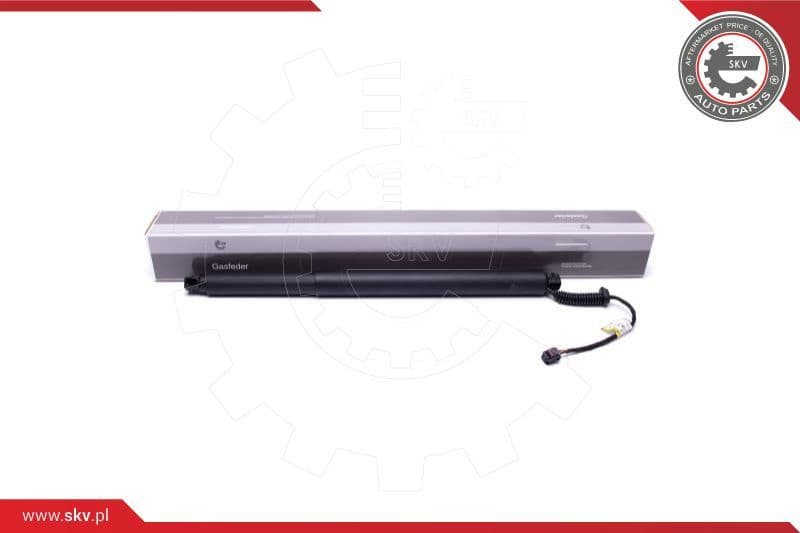 Electric Motor, tailgate 52SKV913