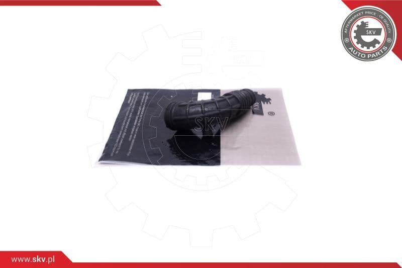 Intake Hose, air filter 43SKV929