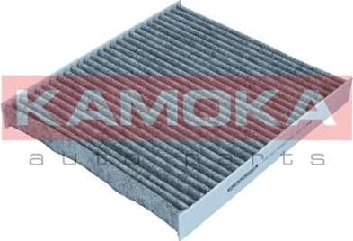 Filter cabin F521601