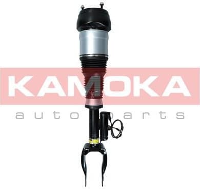 Air Suspension Strut 2070004