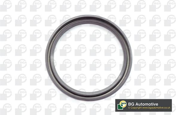 Shaft Seal, crankshaft OS7382