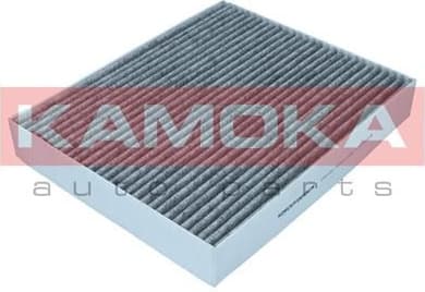 Filter, cabin air F522001