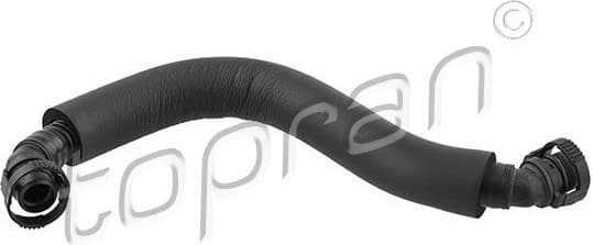 Hose, cylinder head cover ventilation 118 661