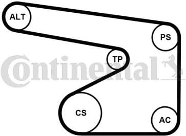 V-ribbed Belt Set 5PK1355K1