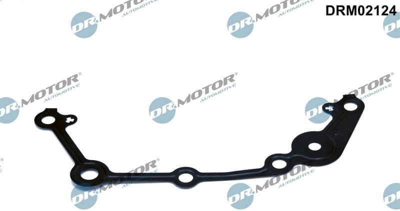 Gasket, timing case DRM02124