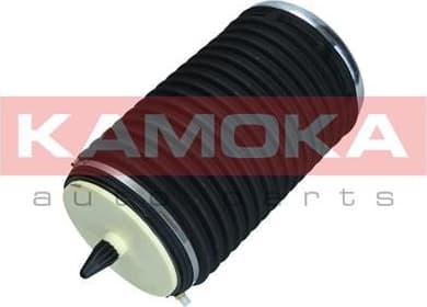 Air Spring, suspension 2079003