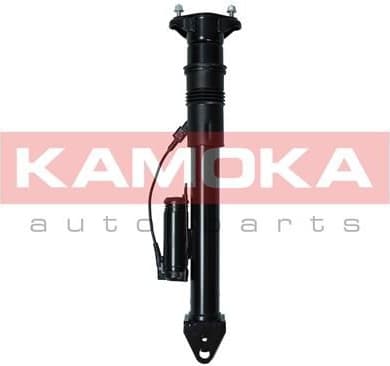 Air Suspension Strut 2070017 - image 2
