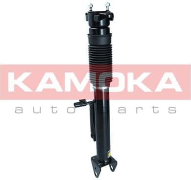 Air Suspension Strut 2070018