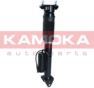 Air Suspension Strut 2070018 - image 4