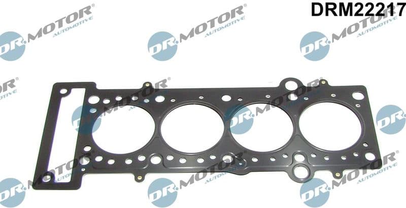 Gasket, cylinder head DRM22217