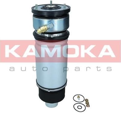 Air Spring, suspension 2079018