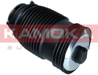Air Spring, suspension 2079048