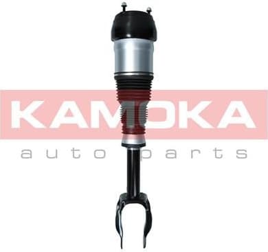 Air Suspension Strut 2070002 - image 2