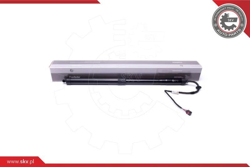 Electric Motor, tailgate 52SKV908