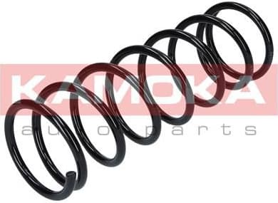 Suspension Spring 2120038 - image 8