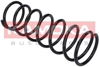 Suspension Spring 2120038 - image 9