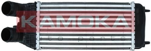 Charge Air Cooler 7750064