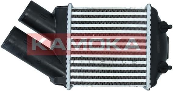 Charge Air Cooler 7750114