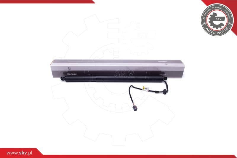 Electric Motor, tailgate 52SKV917