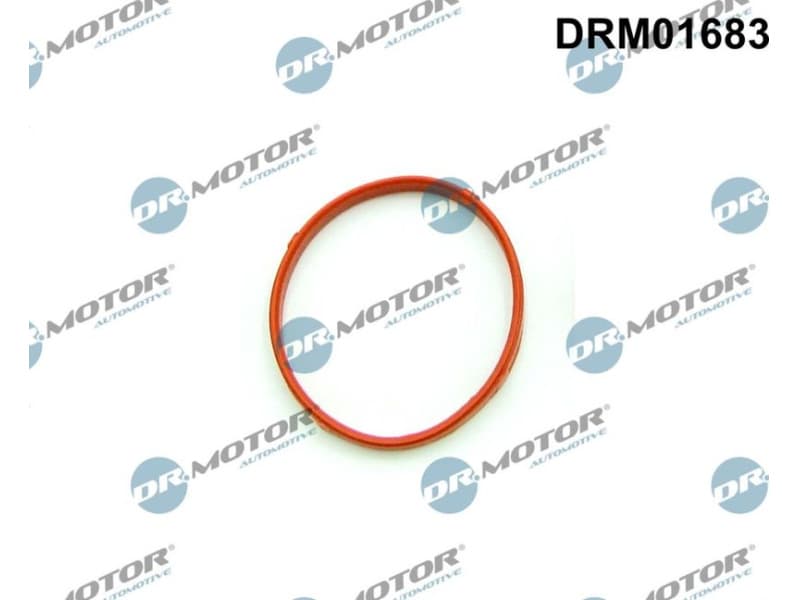 Gasket, throttle body DRM01683