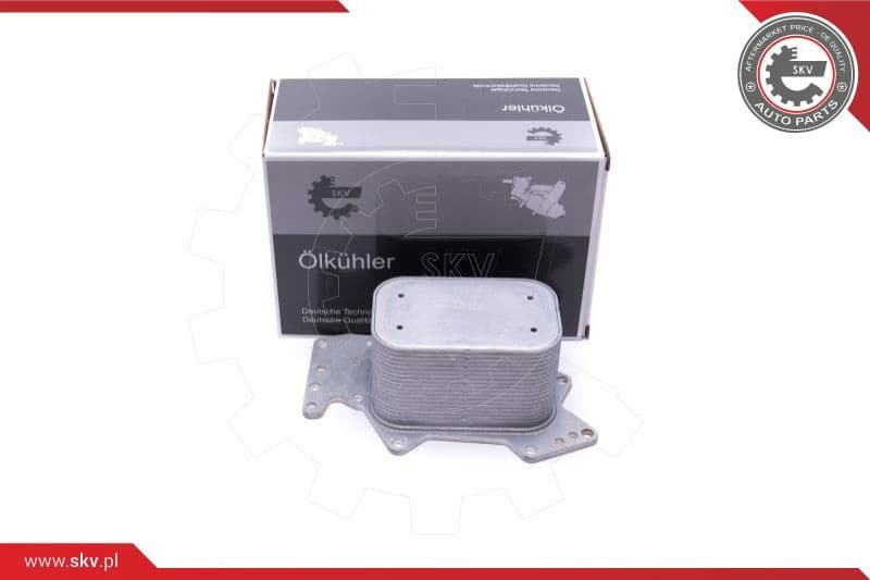 Oil Cooler, engine oil 31SKV212
