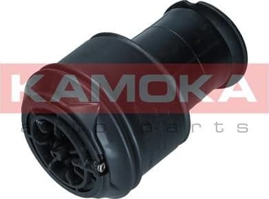 Air Spring, suspension 2079024