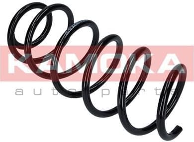 Suspension Spring 2120159 - image 7