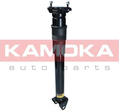 Air Suspension Strut 2070014