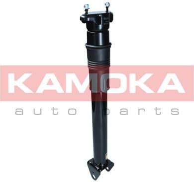 Air Suspension Strut 2070014 - image 3