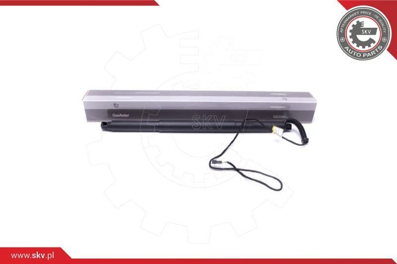 Electric Motor, tailgate 52SKV931