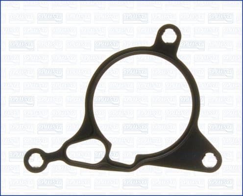 Gasket, vacuum pump 01198300