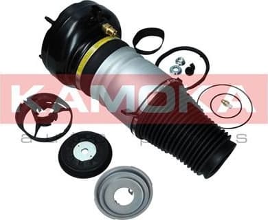 Air Spring, suspension 2079005