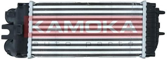 Charge Air Cooler 7750049 - image 2