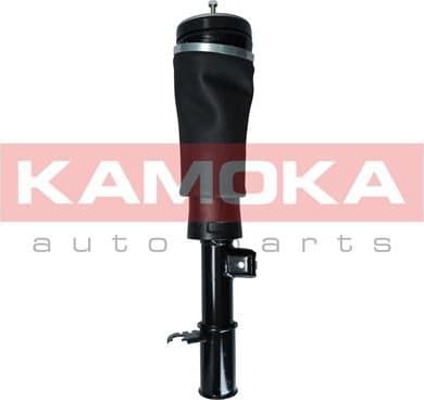 Air Suspension Strut 2070020 - image 2