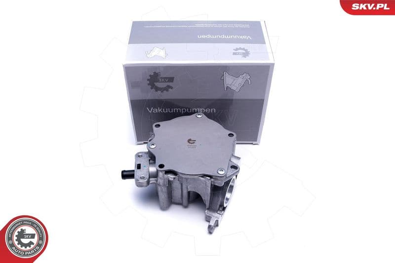 Vacuum Pump, braking system 18SKV060