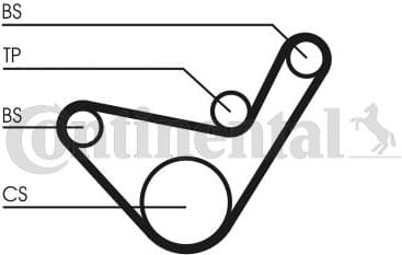 Timing Belt CT1107 - image 2