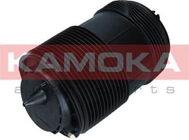 Air Spring, suspension 2079014