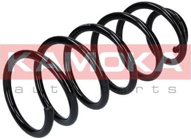 Suspension Spring 2120023 - image 8