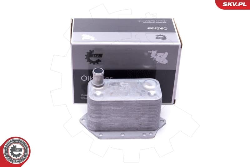 Oil Cooler, engine oil 31SKV221