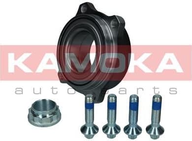 Bearing wheel 5500305