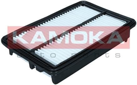 Air Filter F256801