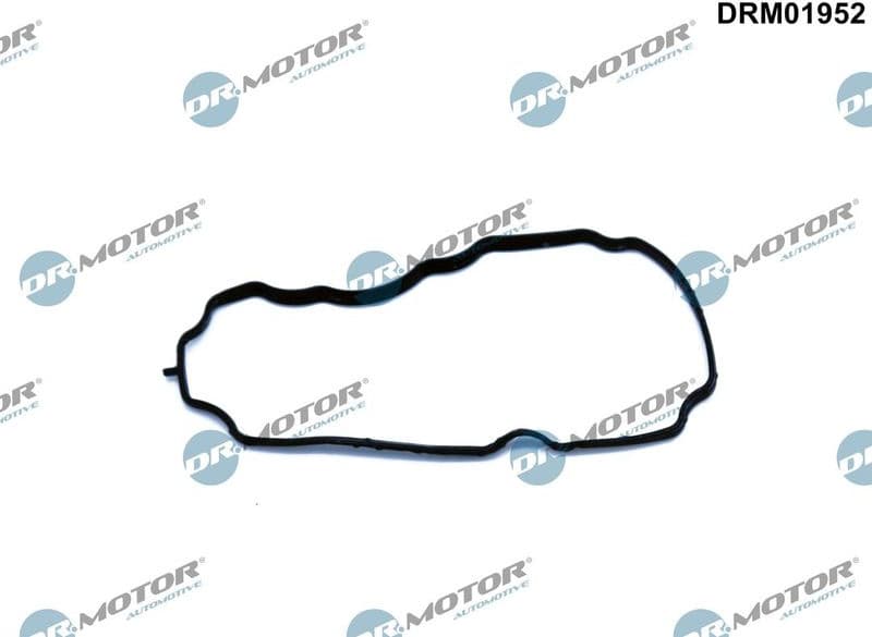 Gasket, crankcase ventilation DRM01952