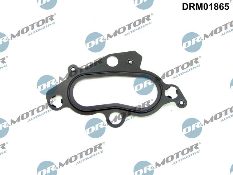 Gasket, thermostat housing DRM01865